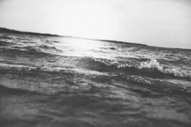 15975324_10155470729607788_4862501170434750970_o