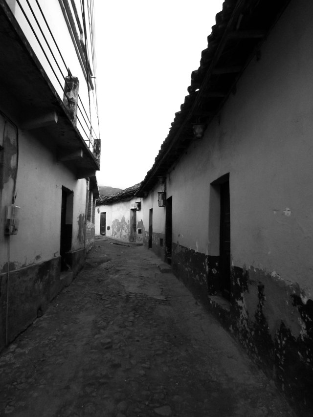 Escobar_A_Proyecto1#6
