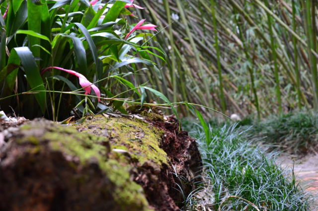 Screen Shot 2017-07-31 at 10.23.02 PM