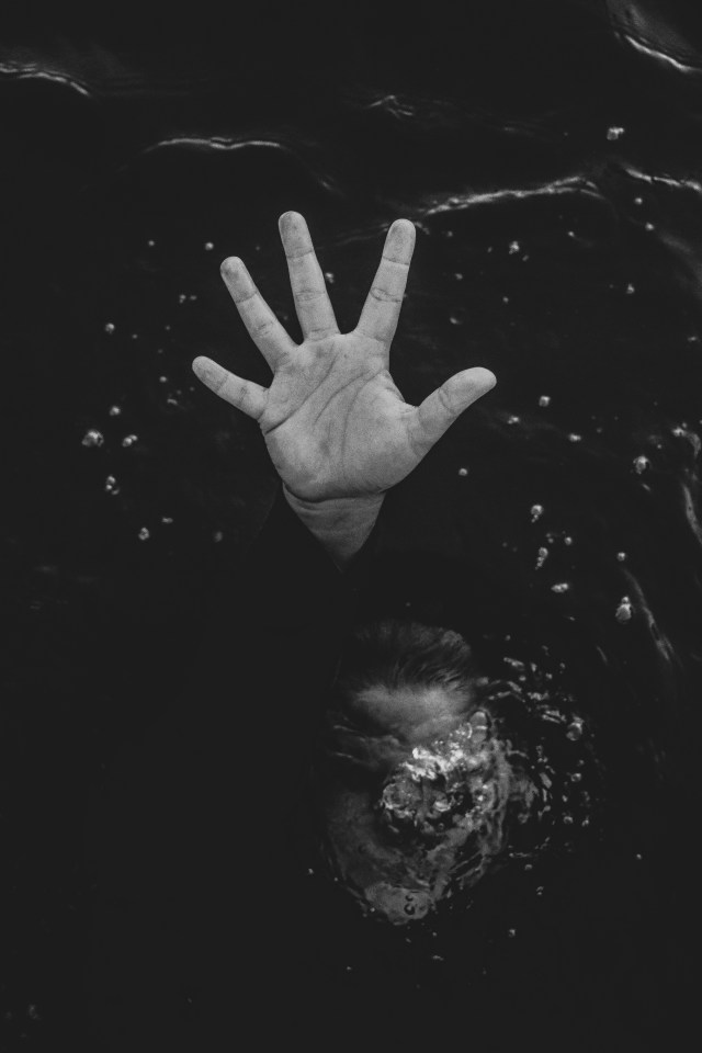 48291062101_814d2df639_o